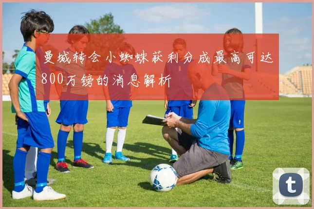 曼城转会小蜘蛛获利分成最高可达800万镑的消息解析